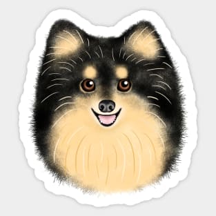 Black and Tan Pomsky Sticker